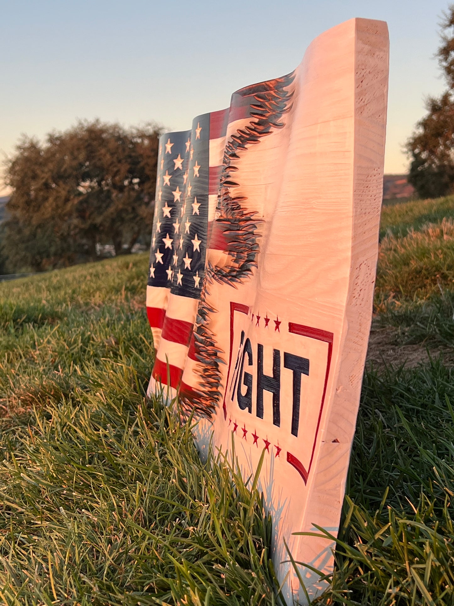 Fight Custom Jacks Flags